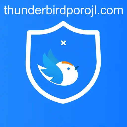 Understanding Privacy Policies: The Case of Thunderbird Poro